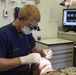 2nd Dental Battalion keeps troops combat ready