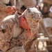 Marines honor fallen comrade