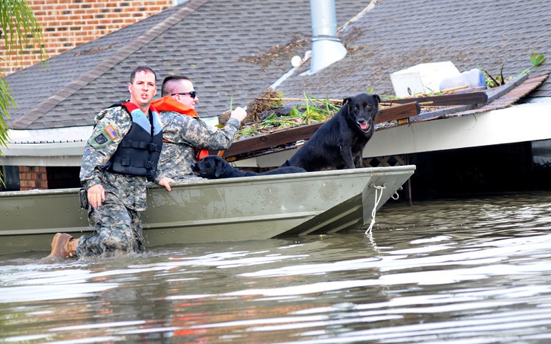 Louisiana National Guard soldiers continue search and rescue operations in response to Hurricane Isaac