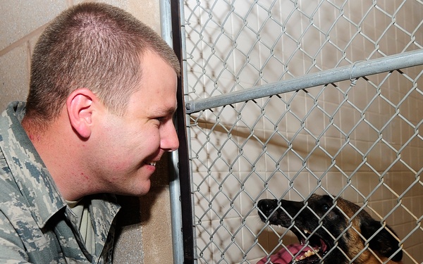 Military working dogs our brothers in arms