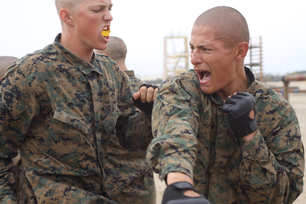 Combat Conditioning Course teaches recruits to fight through pain