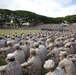 Gen. Amos visits Marines