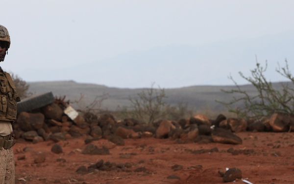 Marines and sailors from Special-Purpose Marine Air-Ground Task Force Africa train with elite Djiboutian forces