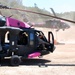 UH-60 Black Hawks painted pink