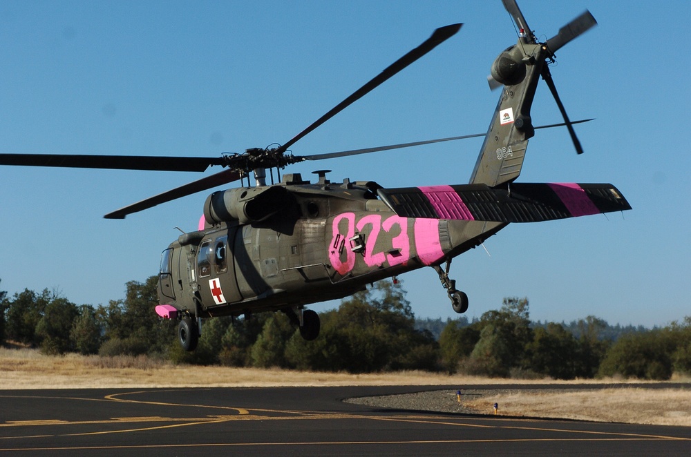 pink helicopters