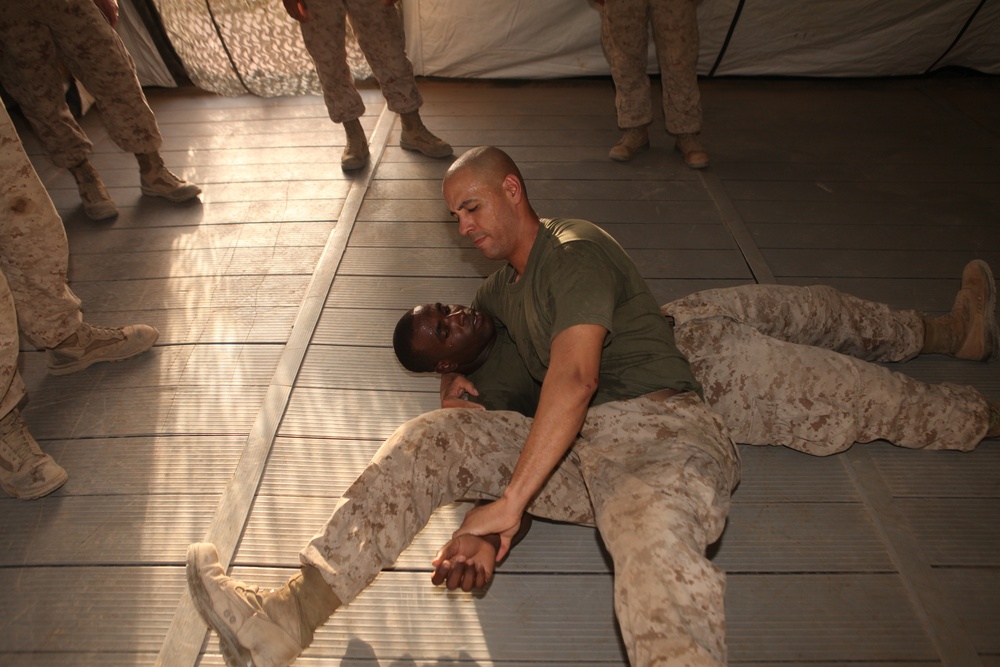 Marine Corps Martial Arts Program