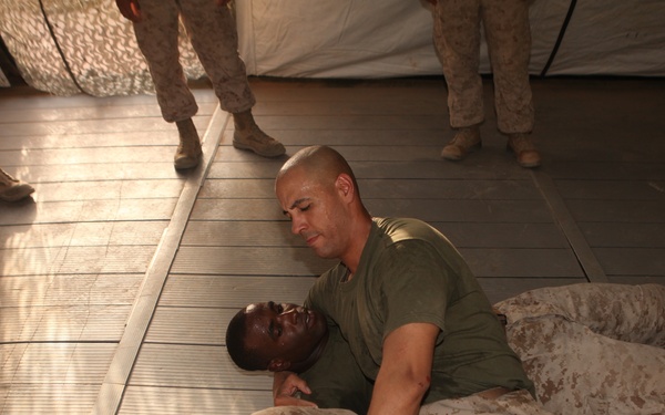 Marine Corps Martial Arts Program