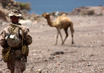 24th MEU Marines complete first week of training in Djibouti