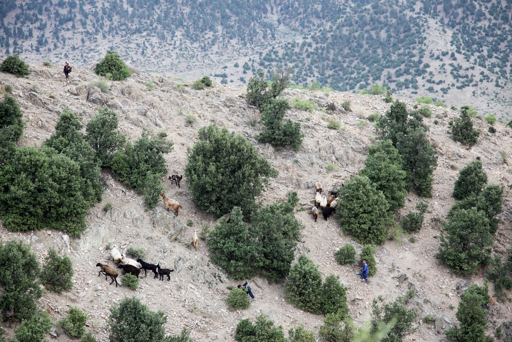 Mountain patrol