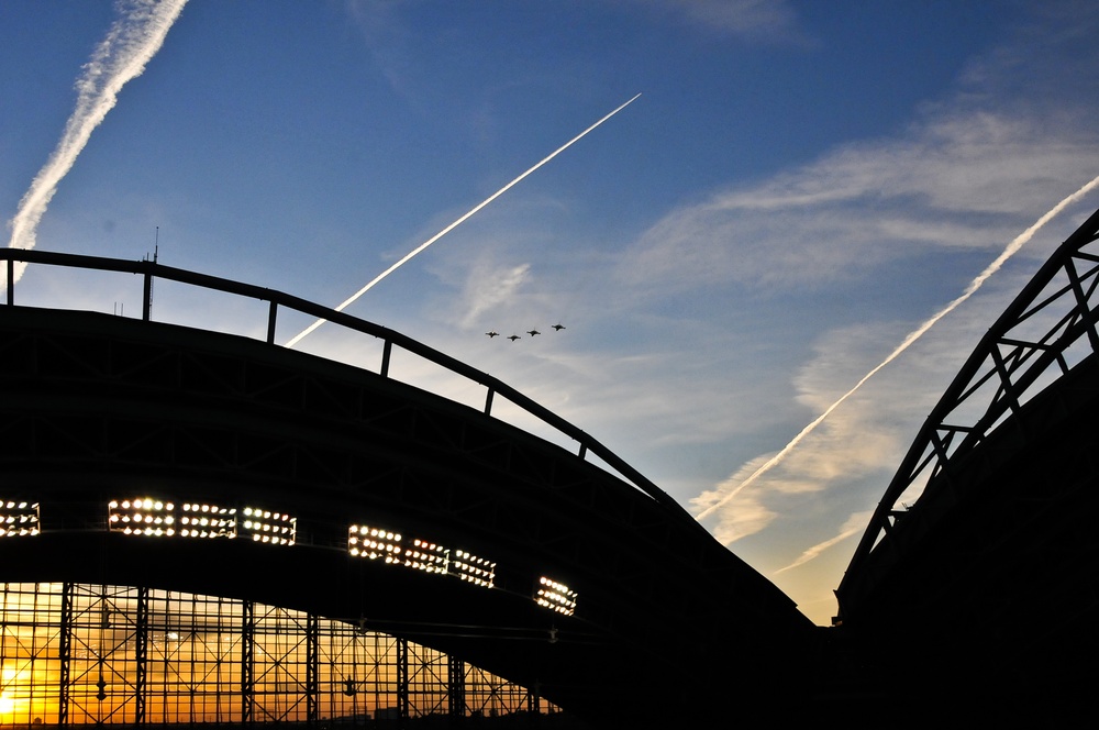 Falcons fly at sunset