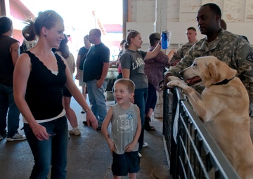 Military showcase all around dogs