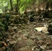 Bilateral Exercise Forest Light concludes