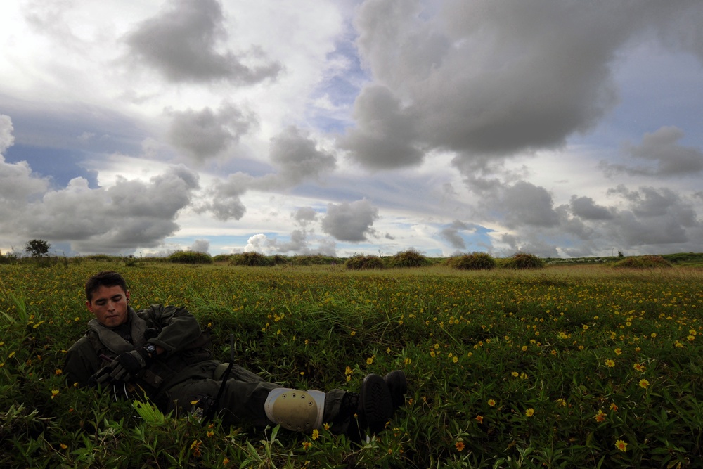 Valiant Shield 2012 conducts inter-service search for simulated survivors