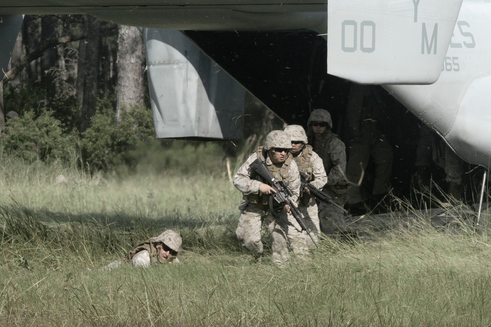 8th Marine’s Regimental Headquarters takes to the field