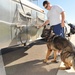 Law enforcement conducts K-9 water training
