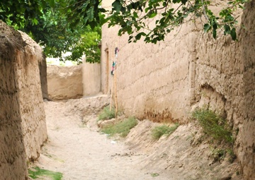 Australian engineers step out into danger