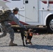 Military working dogs gets put to the test during  week-long certification