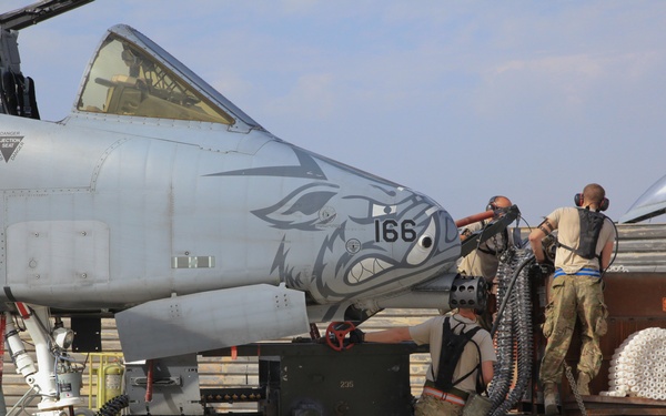 A-10 walkaround