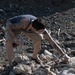 Cable Beach Cleanup