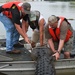 Warrior hunt at BA Steinhagen Lake nets monster gator for recovering soldiers, veterans