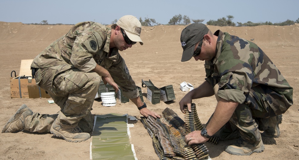 Fire in the hole: Allied EOD technicians team to train