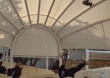 Annual Korean-American Friendship Festival