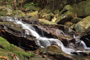 Waterfalls of Hydration Radio Spot