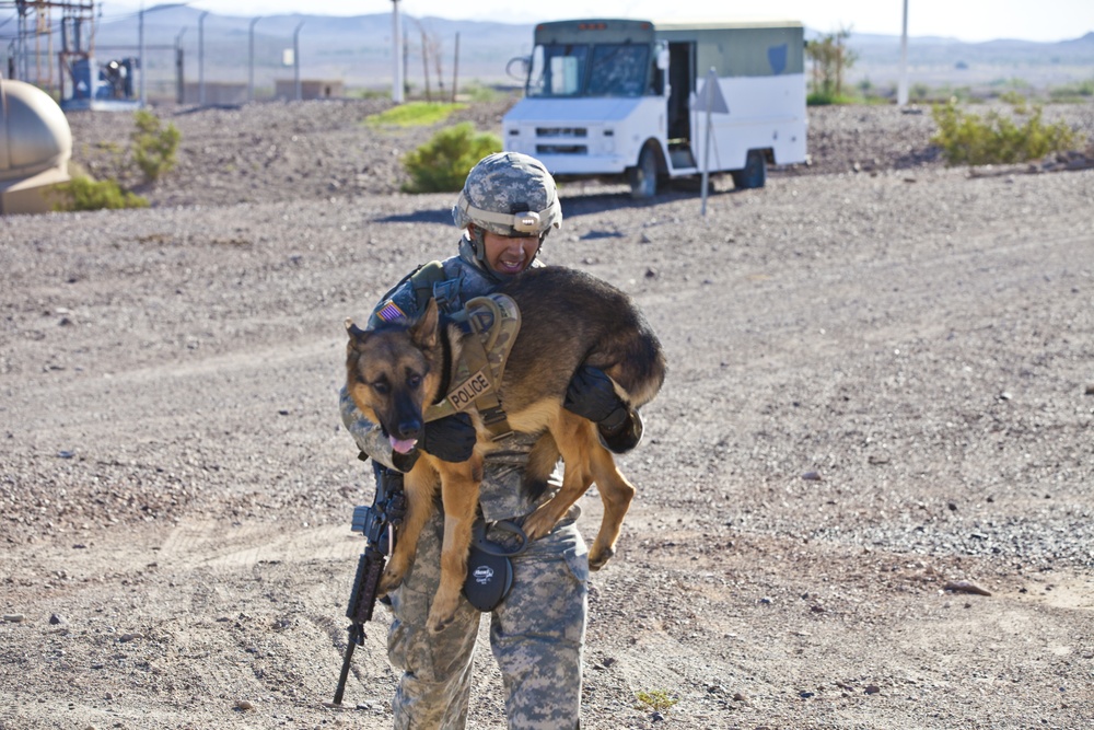 Dogs of War: IASK prepares canine teams for combat