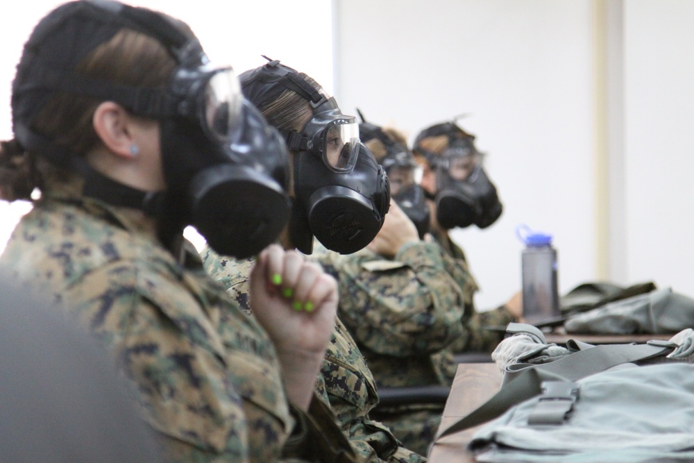 Marine Wing Support Squadron 171 spouses test their gas masks during a brief on what they can expect from the gas chamber during Jane Wayne Day here Sept. 14, 2012