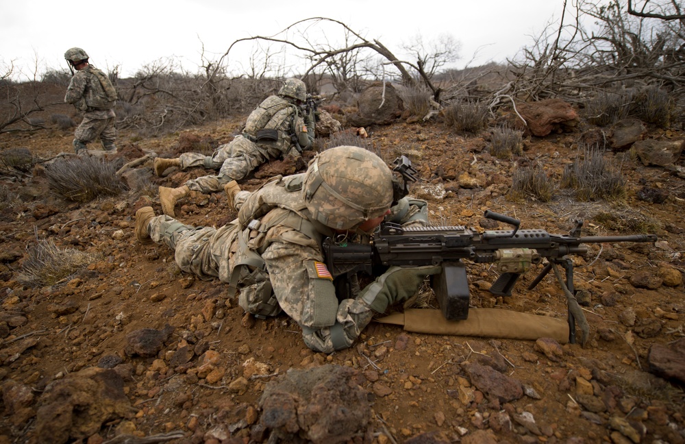 Hawaii's Stryker Brigade soldiers conduct realistic combined live fire exercise