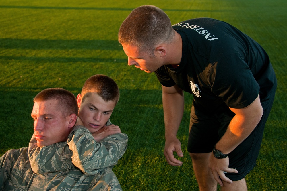 Combative skills training