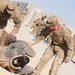 Military working dogs show skills