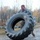 Arctic Wolves take a welcome break from the office A soldier in US Army camouflage uniform is performing a tire flip exercise with a large tractor tire on a gravel path. A second soldier in matching uniform is visible in the background. The setting appears to be an outdoor military physical training course during autumn, surrounded by trees with fall foliage.