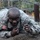 Arctic Wolves take a welcome break from the office A U.S. Army soldier in ACU (Army Combat Uniform) is low-crawling under barbed wire obstacles on a dirt surface. The soldier is wearing a uniform with a U.S. flag patch on the right sleeve and an additional unit patch on the left shoulder. This appears to be a military training exercise or obstacle course.