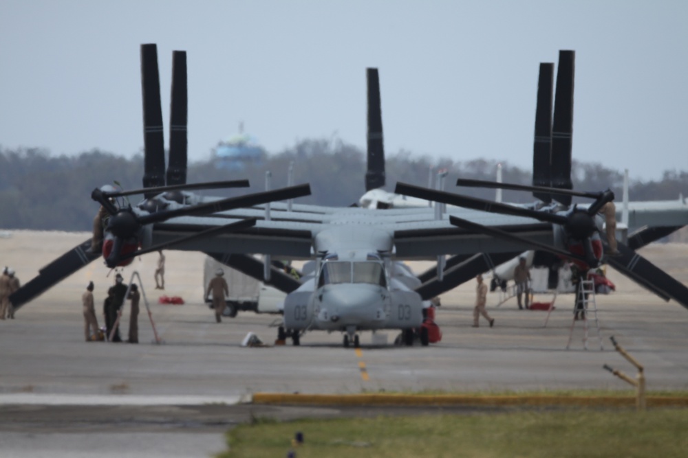 Osprey