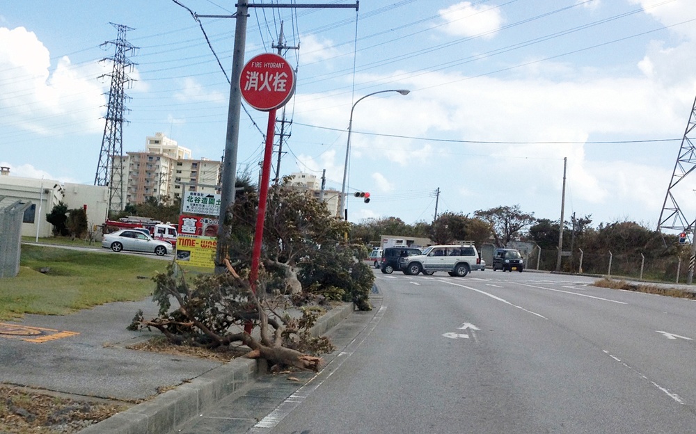 Cleanup continues after Typhoon Jelawat slams Okinawa