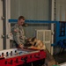 Kosovo canines maintain safety and sanity of our soldiers