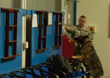 Kosovo canines maintain safety and sanity of our soldiers