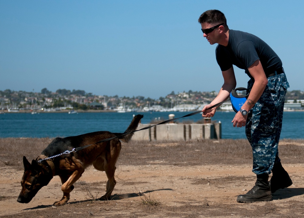 Patrol and scouting training exercise