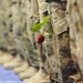 4th Brigade Combat Team (Airborne) homecoming