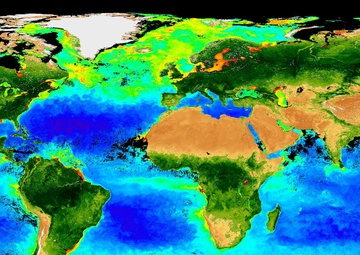 The Earth's Biosphere: Image of the Day