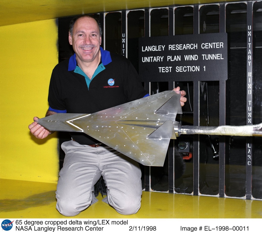 65 degree cropped delta wing/LEX model