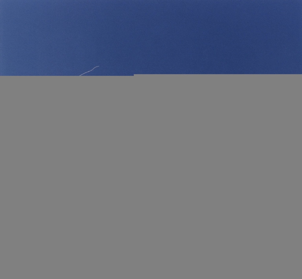 Schweizer 1-36 in Flight - Controlled Rapid Descent