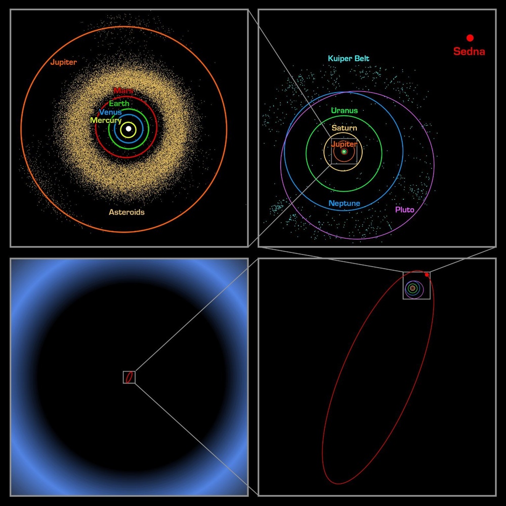 Sedna's Orbit
