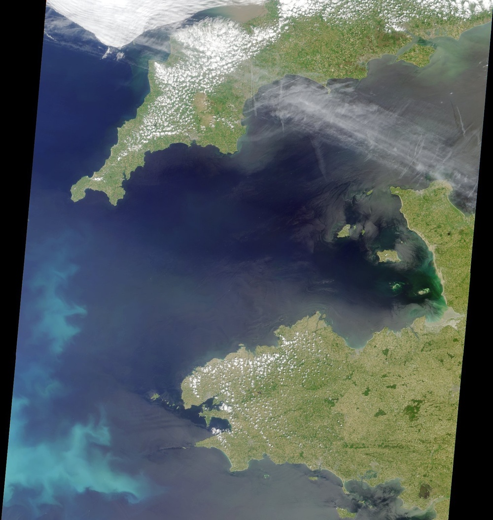 Coccoliths in the Celtic Sea