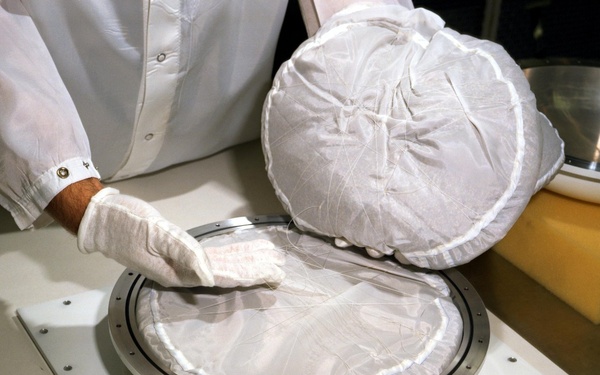 Tomato seeds for LDEF