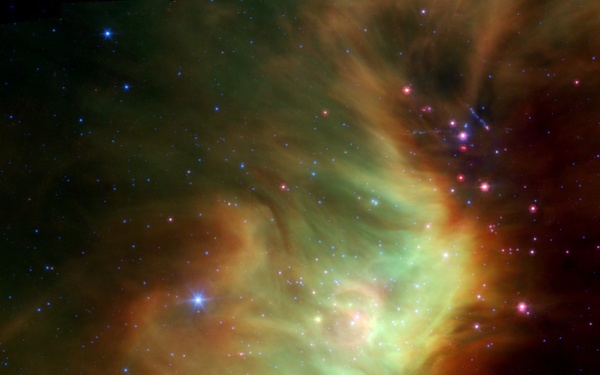 Perseus' Stellar Neighbors