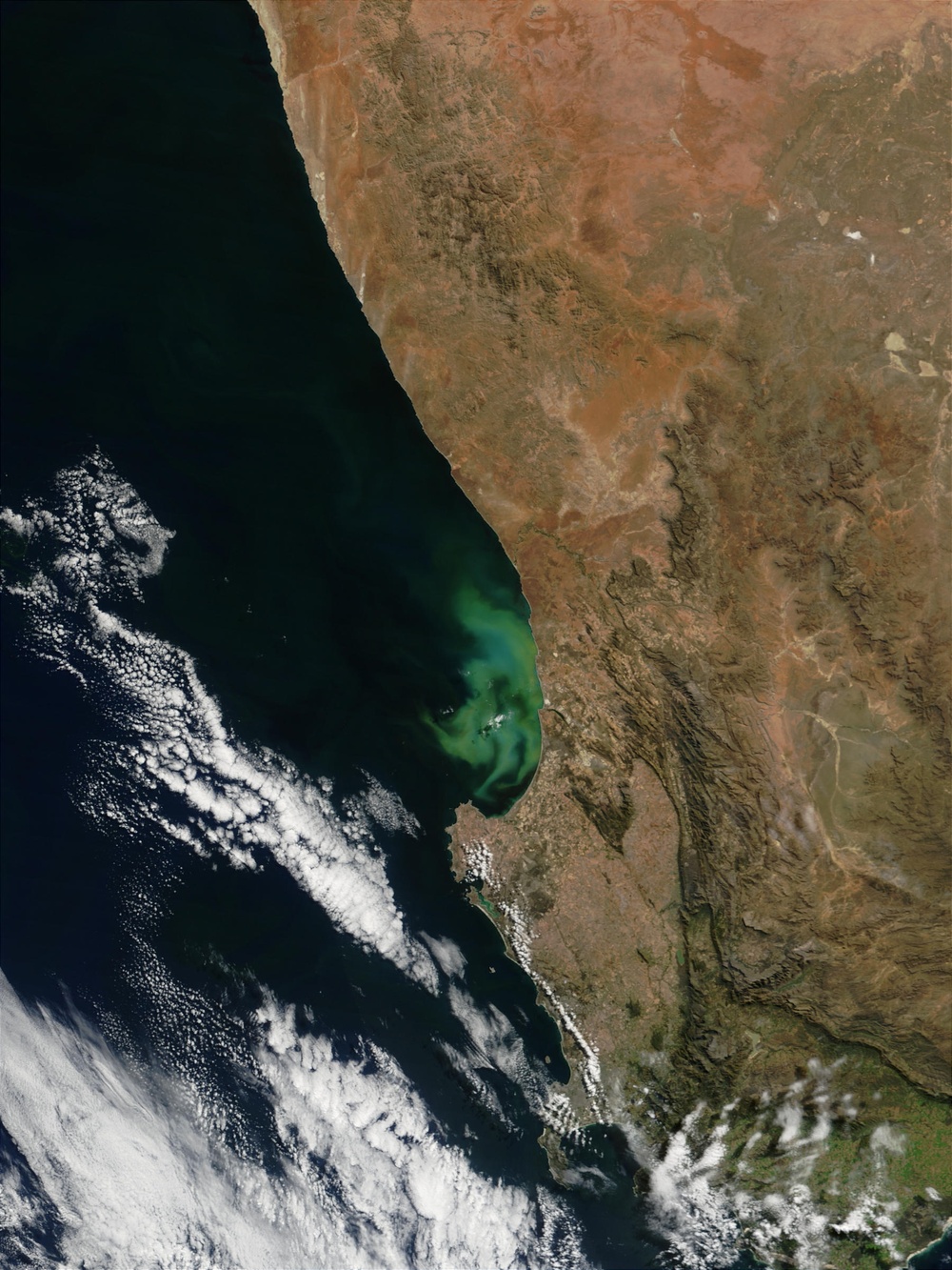 Phytoplankton off South African Coast: Natural Hazards