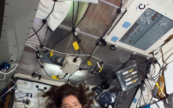 View of STS-118 MS Morgan posing with Basil Seeds in the MDDK of the Shuttle Endeavour