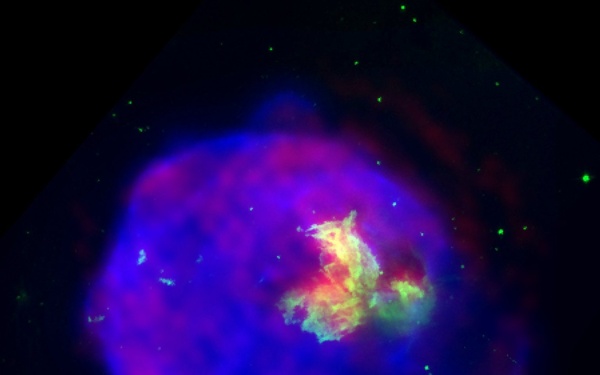Supernova Remnant Menagerie